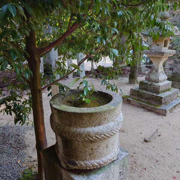 右田の氏神様、熊野神社